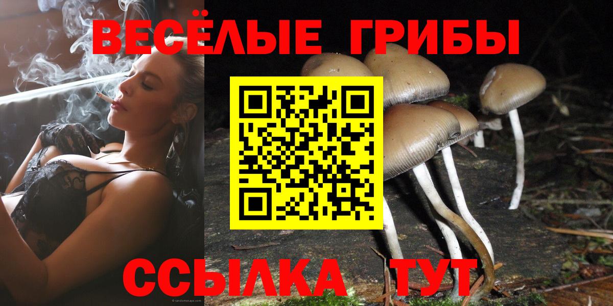 Псилоцибиновые грибы Psilocybe  где найти наркотики  Каменск-Уральский  Вход с VPN 