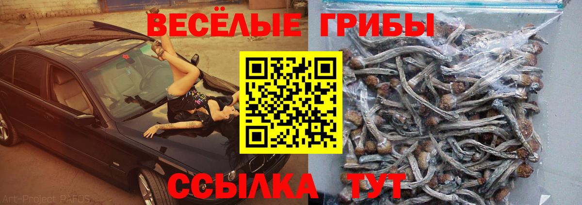 Псилоцибиновые грибы ЛСД Каменск-Уральский